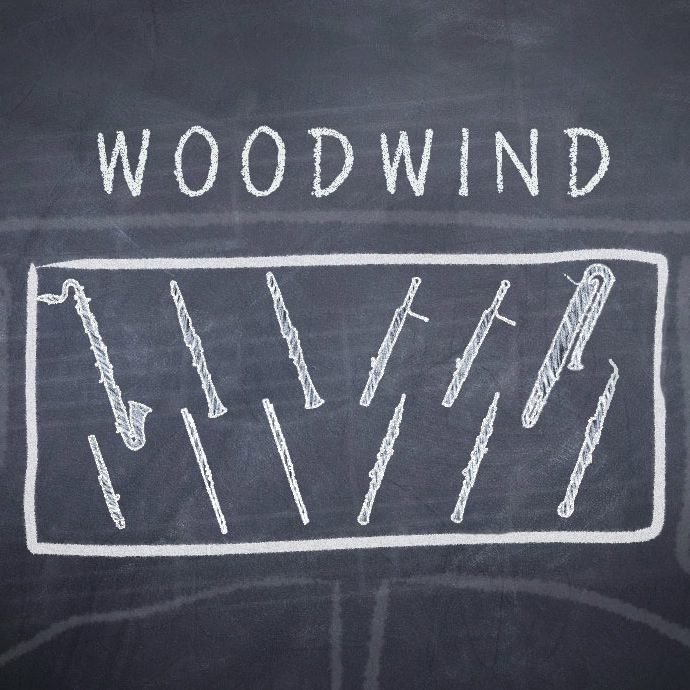 MSO-learn-woodwind